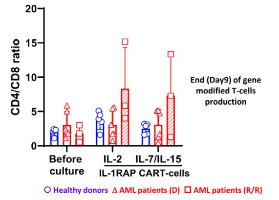 Fig.2 CD4+/CD8+ T subgroup analysis of anti-IL1RAP CAR-T cells generated from healthy donors or patients with AML. (Trad, et al., 2022)