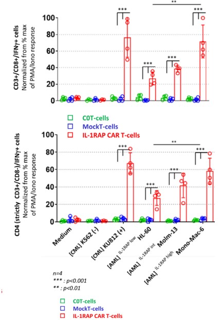 Fig.4 Intracellular IFN-γ analysis of anti-IL-1RAP CAR-T CD8+ or CD4+ cell subgroup co-cultured with different AML cell lines at 1:5 E:T ratio by flow cytometry. (Trad, et al., 2022)