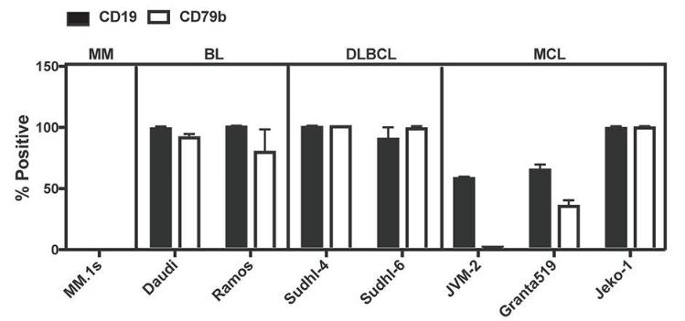 The expression of CD79b and CD19 on human B cell tumor cell lines.