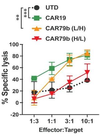 Cytotoxicity of CD79B CAR-T cells.