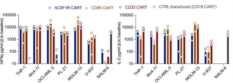 Fig.1 Flow cytometry analysis of anti-5T4-CAR on transduced T cells. (Guo, et al., 2020)
