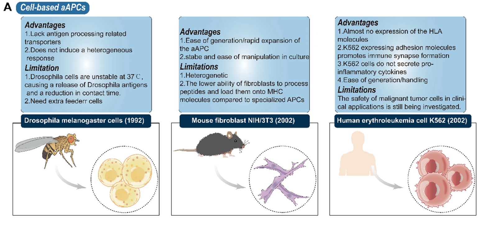 Fig.1 Cell-based artificial T cell stimulators. (OA Literature)