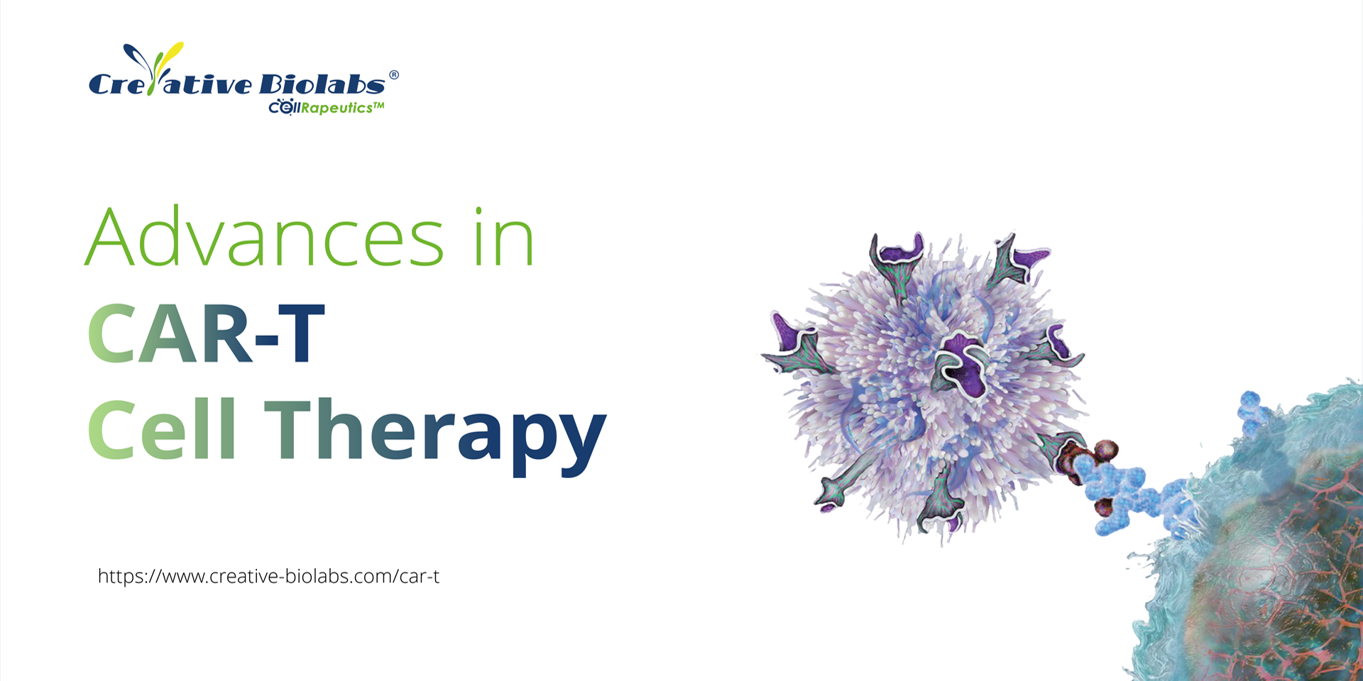 Advances in CAR-T Cell Therapy