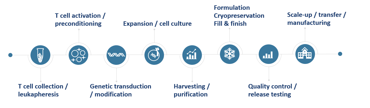Workflow of Process Development Service. (Creative Biolabs Original)