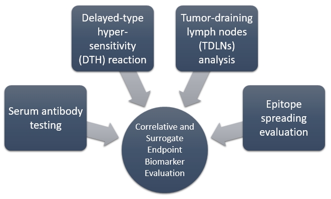 Five criteria for the evaluation of surrogate endpoints. (Creative Biolabs Original)