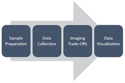 Workflow of MSI technology. (Creative Biolabs Original)