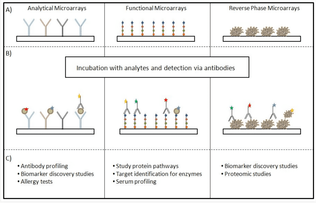 Different types of protein microarrays.