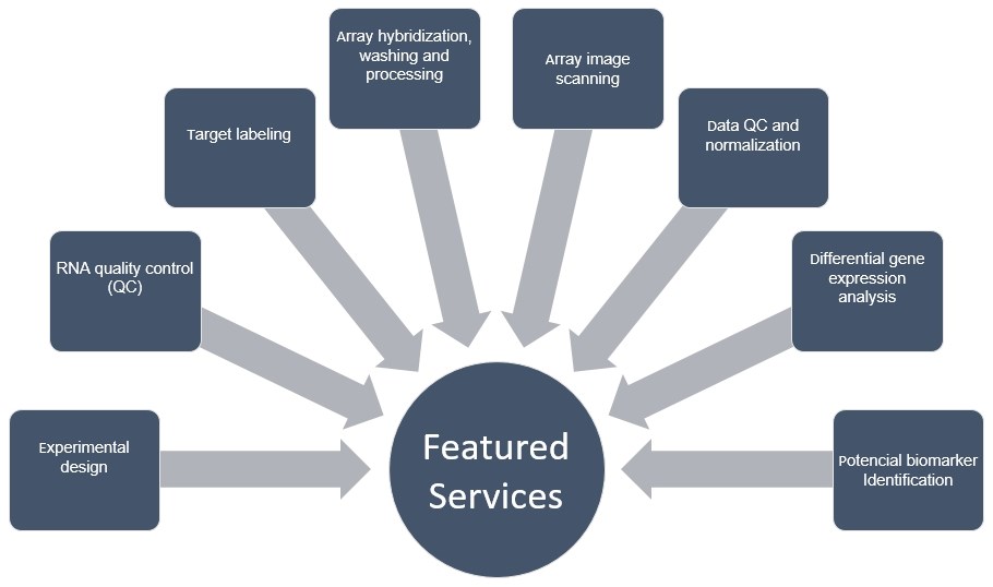 Featured services for immune biomarker discovery. (Creative Biolabs Original)