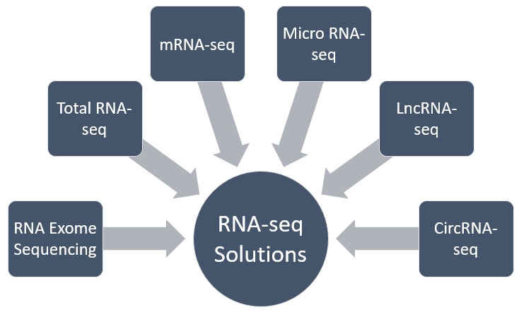 RNA-seq solutions at Creative Biolabs for immune biomarker discovery. (Creative Biolabs Original)