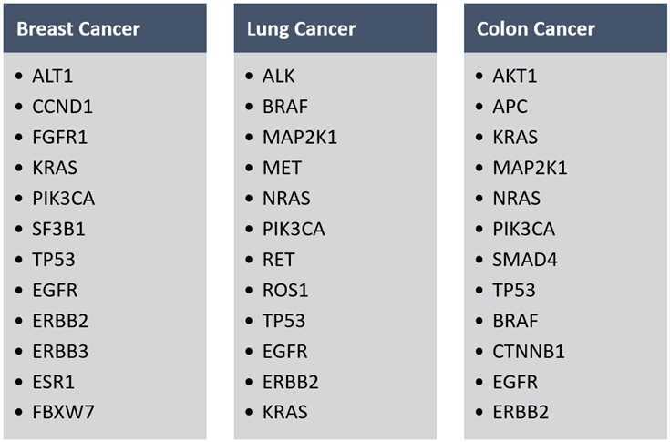 Schematic of genes in breast cancer, lung cancer, and colon cancer. (Creative Biolabs Original)