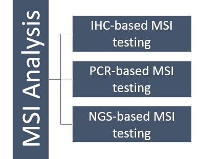 Several efficient strategies for MSI analysis. (Creative Biolabs Original)