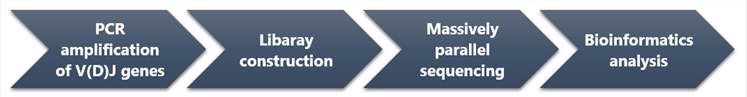 Workflow of TCR repertoire analysis. (Creative Biolabs Original)