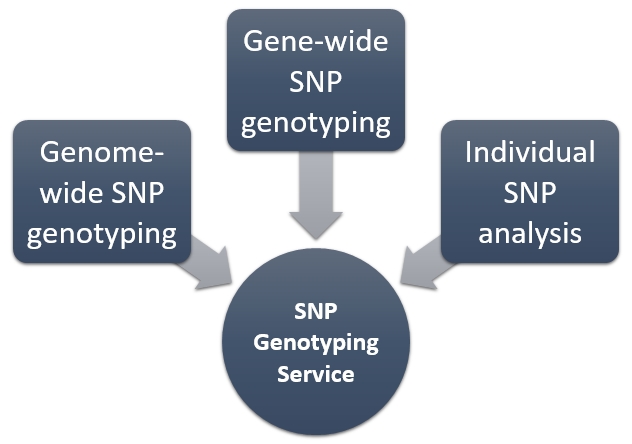 Several SNP genotyping technologies. (Creative Biolabs Original)