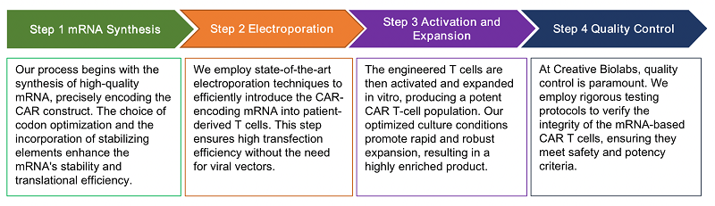 Workflow of mRNA-Based CAR Cell Platform. (Creative Biolabs Original)