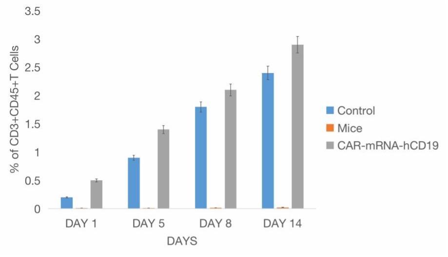 Fig. 4 Biodistribution Analysis of CAR-mRNA-hCD19 Cells Following Intraperitoneal (i.p.) Injection in a Mice Model.