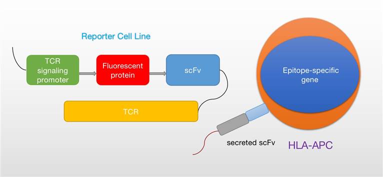 The Tseeking™ platform at Creative Biolabs. (Creative Biolabs Original)