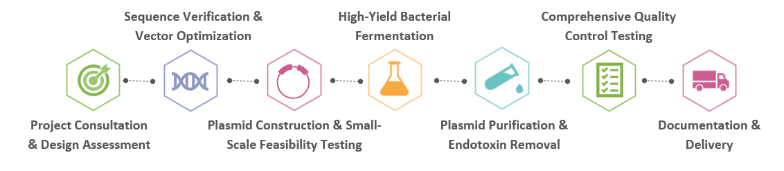 Workflow of RG CAR-T Plasmid DNA Manufacturing. (Creative Biolabs Original)