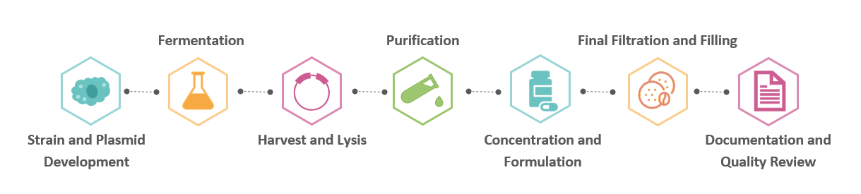 Workflow of HiCAR construction service. (Creative Biolabs Original)