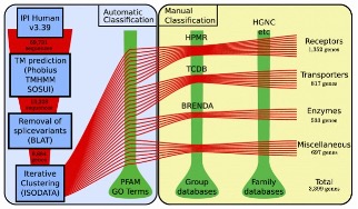 Fig.1 Identified 6,718 human membrane proteins belong to the three major functional groups. (Almén MS, et al., 2009)