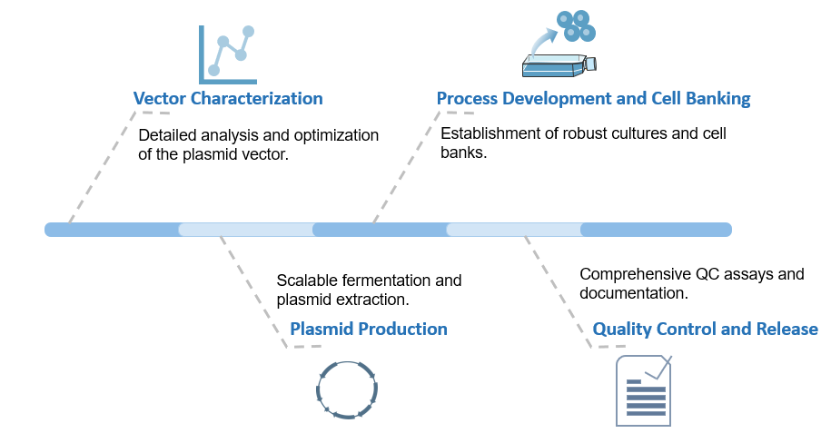Workflow of CAR-T Plasmid Global CDMO Services. (Creative Biolabs Original)