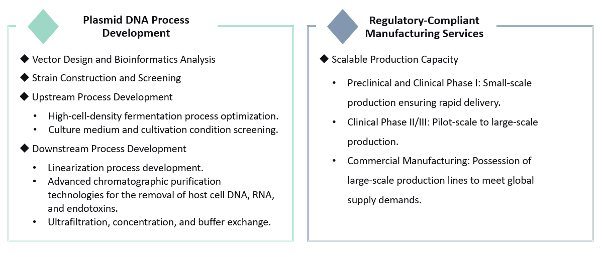 Analysis and testing of CAR-T Plasmid Global CDMO Services. (Creative Biolabs Original)