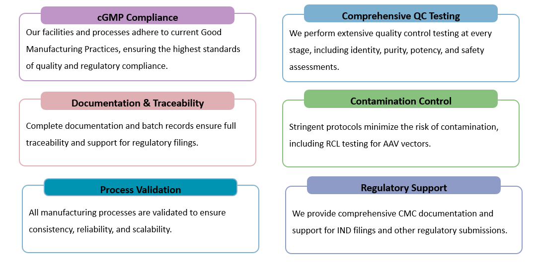 Analysis and testing of cGMP CAR-T AAV Production. (Creative Biolabs Original)
