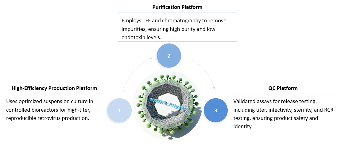 Analysis and testing of cGMP CAR-T Retrovirus Production Service. (Creative Biolabs Original)