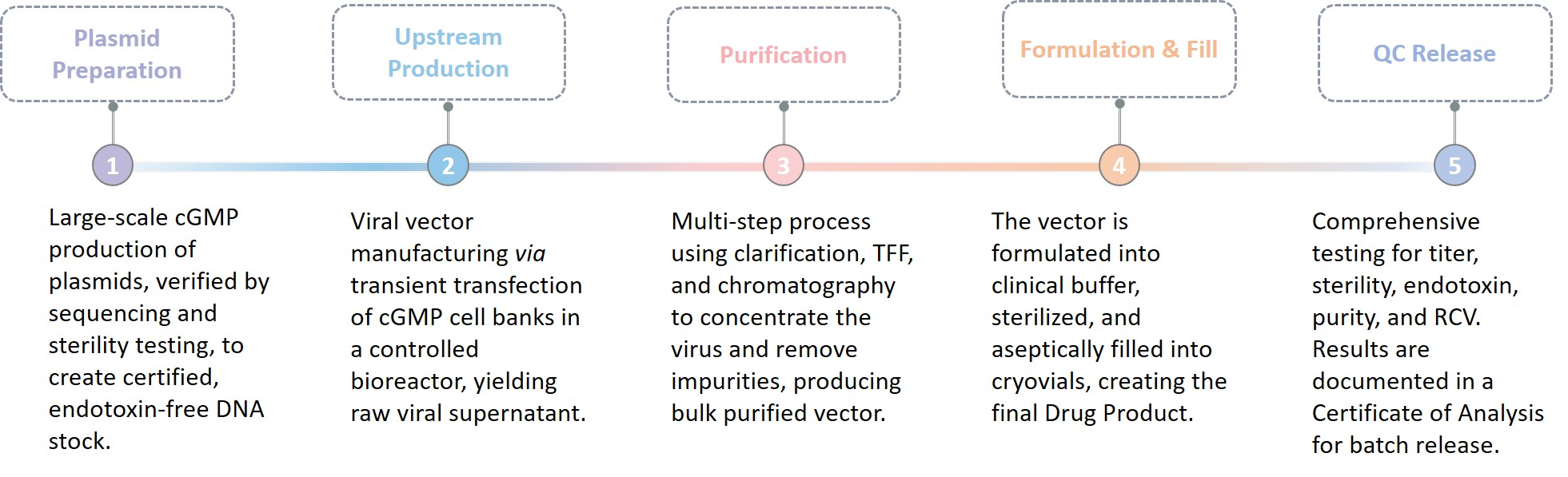 Analysis and testing of Custom cGMP CAR-T Virus Production. (Creative Biolabs Original