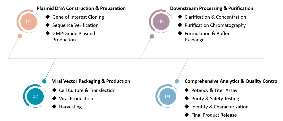 Analysis and testing of CAR Viral Vector Global CDMO Services. (Creative Biolabs Original)