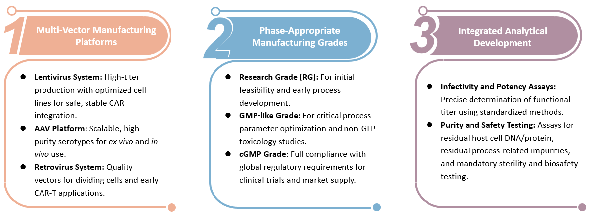 Workflow of CAR Viral Vector Global CDMO Services. (Creative Biolabs Original)