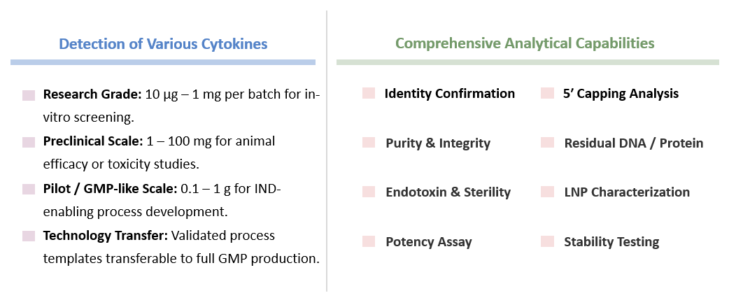 Analysis and testing of GMP-like mRNA Manufacturing. (Creative Biolabs Original)