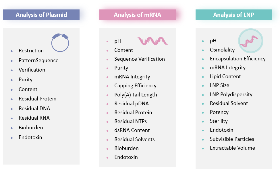 Analysis and testing of GMP CAR-mRNA Manufacturing. (Creative Biolabs Original)