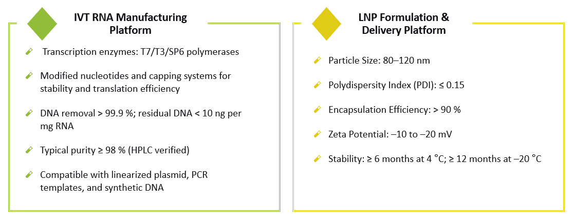 Analysis and testing of IVT RNA and LNP Manufacturing Services. (Creative Biolabs Original)