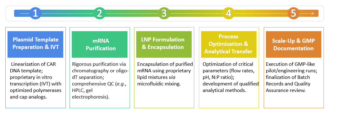 Workflow of IVT RNA and LNP Manufacturing Services. (Creative Biolabs Original)