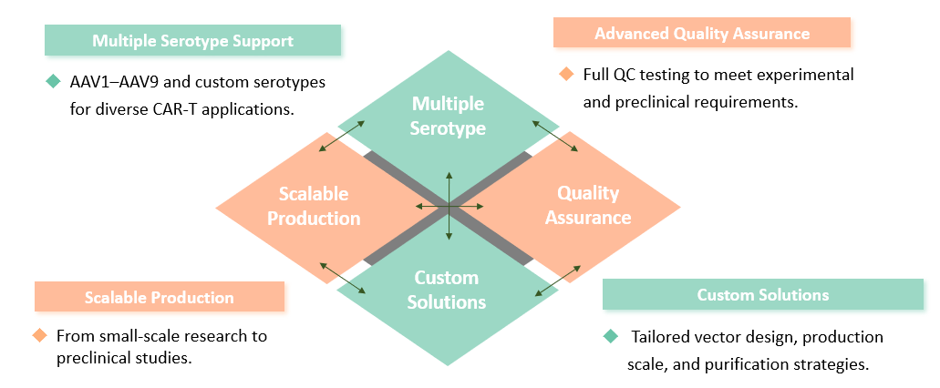 Analysis and testing of CAR-T AAV Packaging. (Creative Biolabs Original)