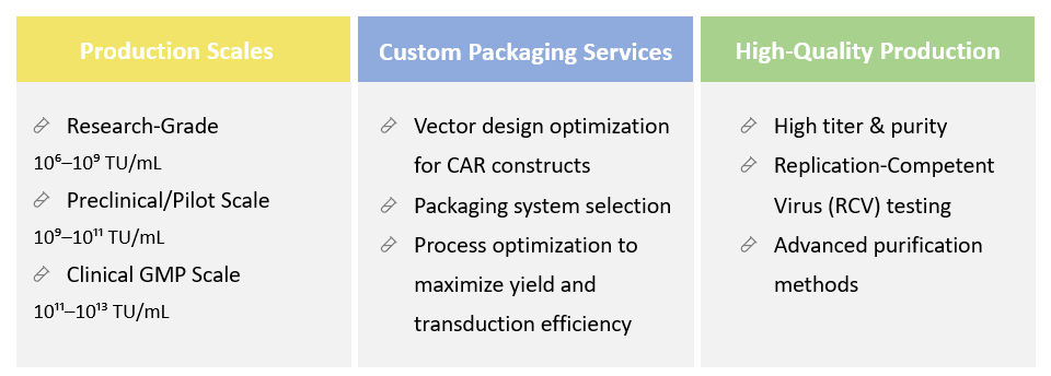 Analysis and testing of CAR Viral Vector Packaging. (Creative Biolabs Original)