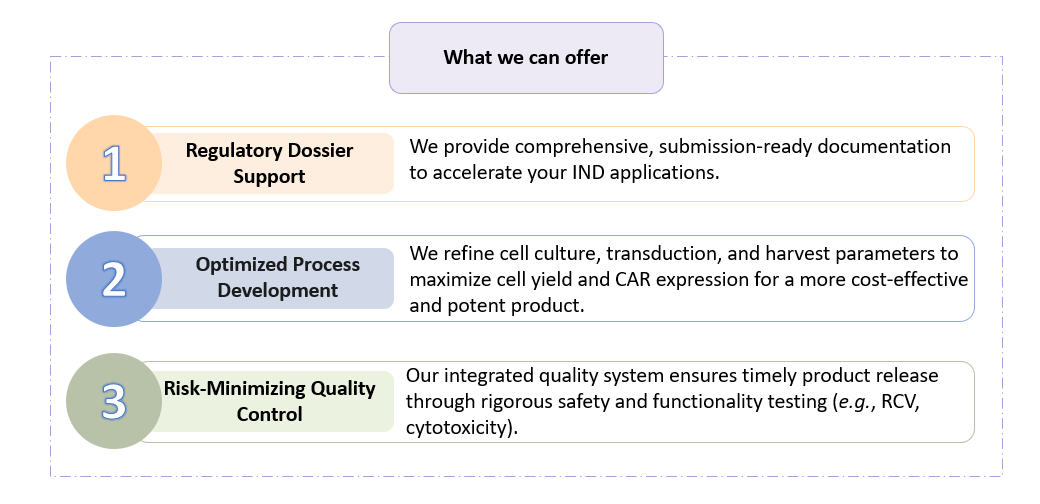 Analysis and testing of Clinical Grade CAR-T Manufacturing. (Creative Biolabs Original)