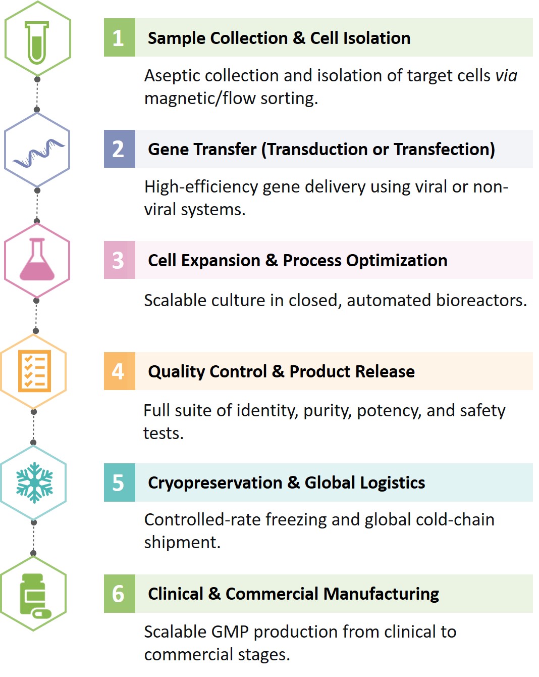 Analysis and testing of CAR Cell Global CDMO. (Creative Biolabs Original)