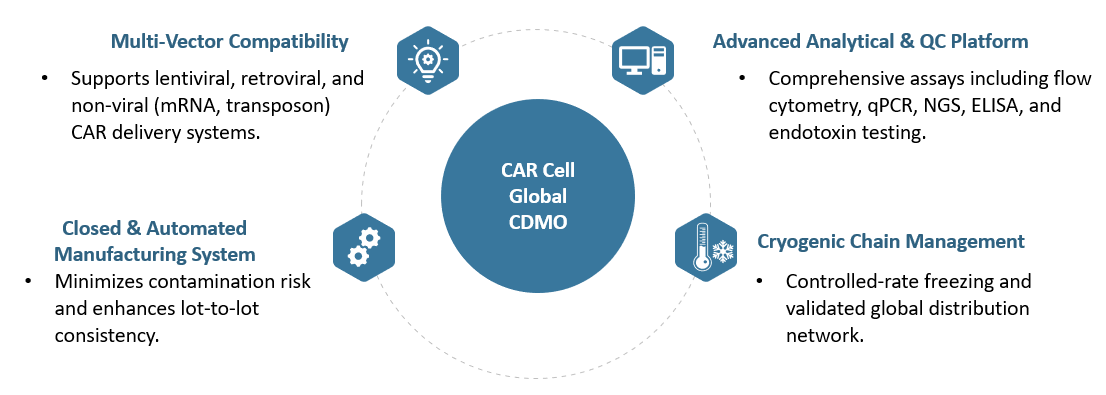 Workflow of CAR-T CAR Cell Global CDMO. (Creative Biolabs Original)