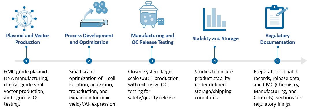 Analysis and testing of CAR-T Global CDMO Services. (Creative Biolabs Original)