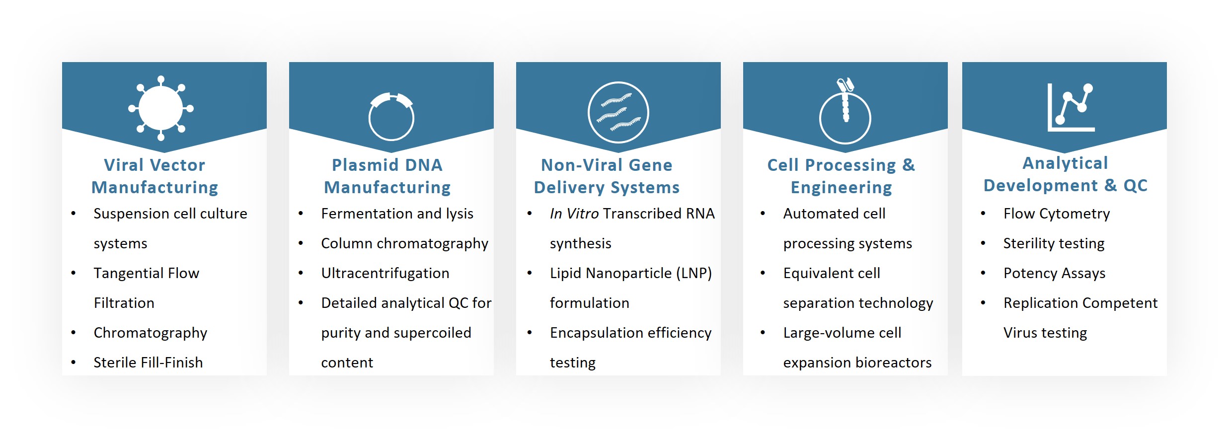 Workflow of CAR-T Global CDMO Services. (Creative Biolabs Original)