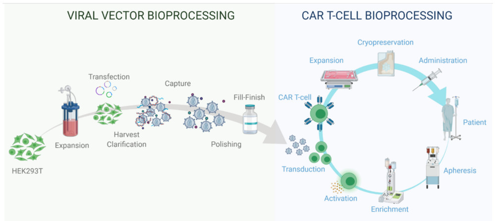 Fig.1 Bioprocessing of viral vectors and autologous CAR-T cell therapy. (OA Literature)
