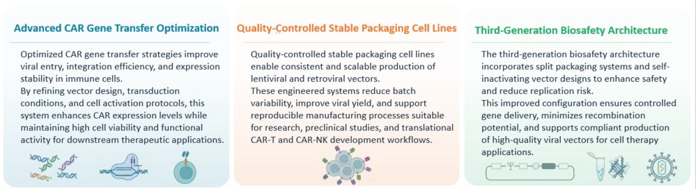 Test of High-Efficiency Lentiviral & Retroviral Vector (LVV/RVV) Engineering Platforms. (Creative Biolabs Original)