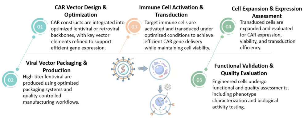 Workflow of High-Efficiency Lentiviral & Retroviral Vector (LVV/RVV) Engineering Platforms. (Creative Biolabs Original)