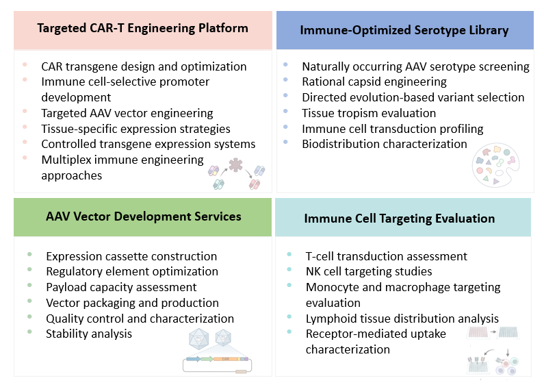 Platform of Precision Adeno-Associated Virus (AAV)-Mediated CAR Delivery Platform (Creative Biolabs Original)