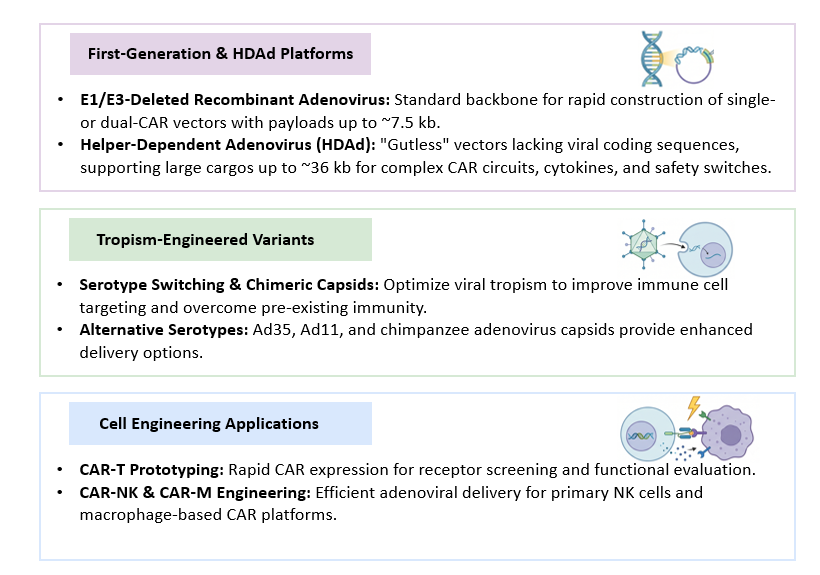 Platform of Adenoviral (Ad) Vector Platform for CAR Transduction. (Creative Biolabs Original)