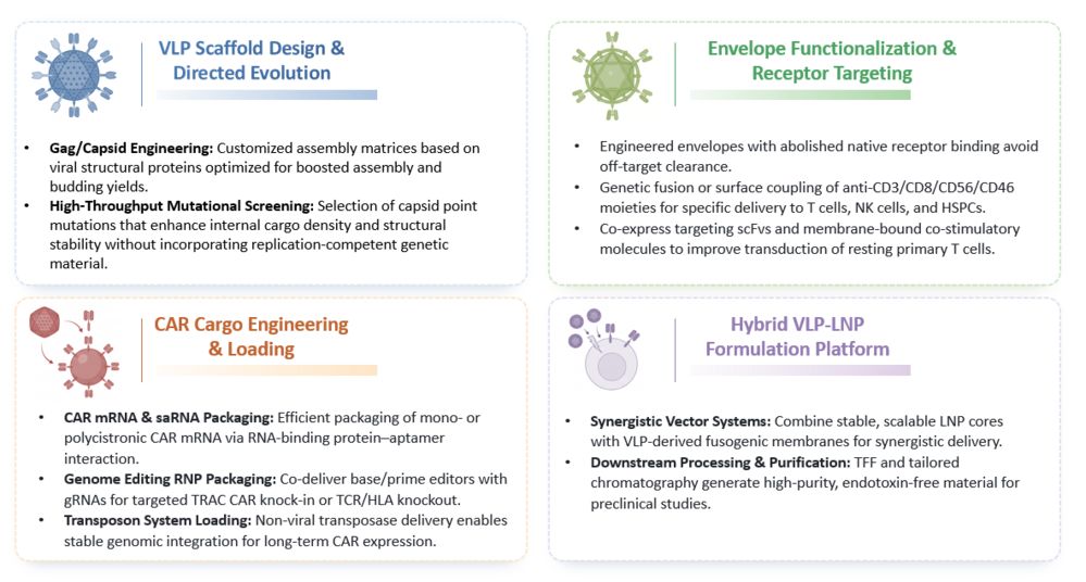 Platform of Virus-Like Particle (VLP) & Hybrid Platforms for CAR Engineering. (Creative Biolabs Original)