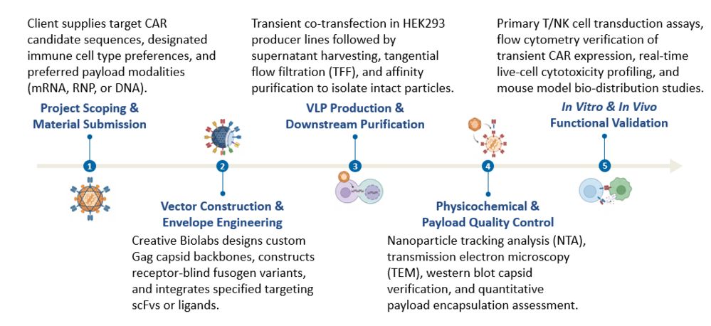 Workflow of Virus-Like Particle (VLP) & Hybrid Platforms for CAR Engineering. (Creative Biolabs Original)