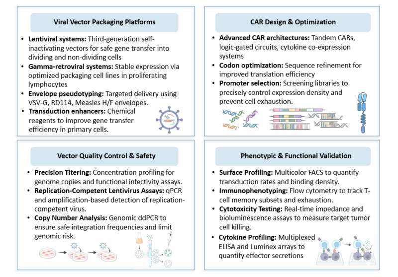 Test of Viral-Based CAR Engineering & Transduction Platforms. (Creative Biolabs Original)
