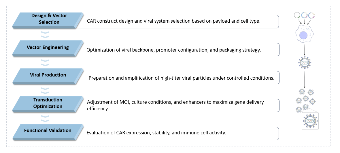 Workflow of Viral-Based CAR Engineering & Transduction Platforms. (Creative Biolabs Original)